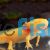Axolotl - Walking Fish Golden