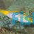 Wrasse - Checkeredboard