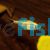 Gold Tetra 