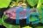 Socolof's Bleeding Heart Tetra 3cm
