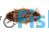 Live Woodies - Medium Nauphoeta Cinerea