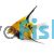 Tri-Colour Angel Fish