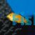Labidochromis Electric Yellow
