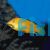 Labidochromis Electric Yellow 5cm