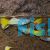 Male Metalic Yellow Guppy 