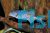 Freshwater Dolphin 9cm