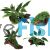 Mixed Driftwood Plant Pack
