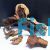 Mopani Driftwood Pack