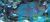 Vlamings Tang Unicornfish - Medium