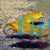 Orange Lemon Cichlid