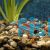 Neon Tetra