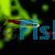 Neon Tetra