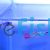 Pair Red Lace Guppy 