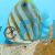 Butterflyfish Ocellate 