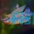 Lace Pearl Gourami XL 9cm