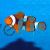Percula Onyx Clownfish