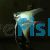 Platinum Blue Angelfish 4.5cm