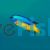 Goldbelly Damselfish 