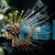 Antennata Lionfish - Pterois antennata