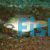 Puffer-Blue Dot - Medium