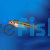 Red Tail Rasbora