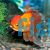 Red Oranda