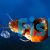 10x Red Ramshorn Snail