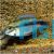 Rio Mamore Apistogramma
