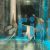 Scalare Angelfish Rio Nanay