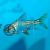 Flagtail Prochilodus Red Finned 5cm