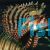 Shortfin Lionfish