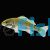Silver Perch