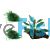 Small Aquarium Plant Pack