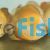 Golden Discus 9cm