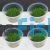 4x Mini Hair Eleocharis Acicularis - TC
