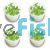 4x Mini Bamboo Floscopa Scandens - TC
