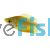 Thicklip Gourami - Bronze 3.5cm