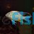 Thread-Finned Acara