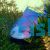 Triggerfish Redtooth SML