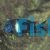 Tropheus Duboisi Maswa
