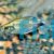 Veilfin Reed Tetra 2.5cm