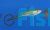 Green Swordtail 5cm