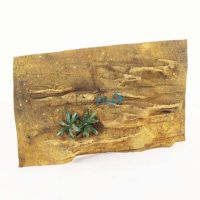 UR Ledge Background 76cm x 45.5cm 
