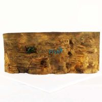 Ledge Background 152cm x 61cm