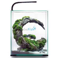 AquaEL Shrimp Tank Set 30 - Black