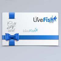 Livefish Gift Certificate