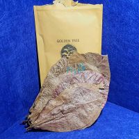 Premium Indian Almond Leaves 50g