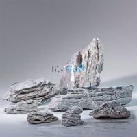 Seiryu Stone 8kg